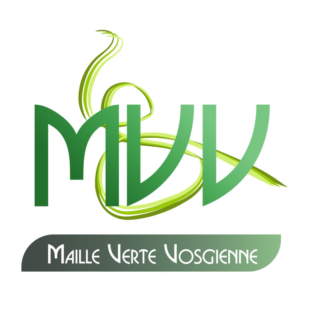 Logo_MVV_2022